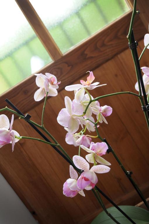 Les Songes De L'Abbaye Bed & Breakfast Cadouin Стая снимка